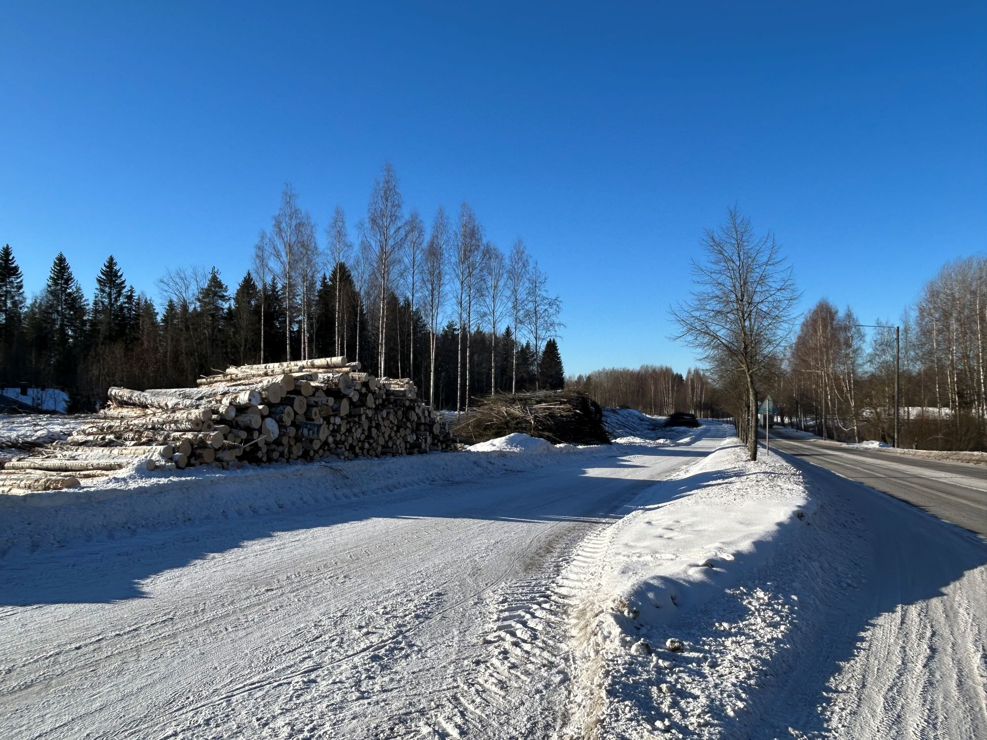 Eteläkatua, kevyen liikenteen väylä, kaadettuja puita pinossa, metsää takana lumisessa maisemassa.